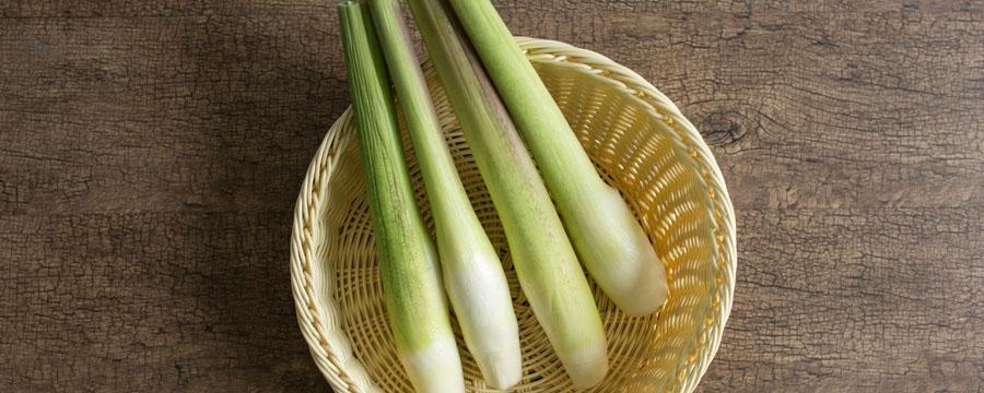 茭白富含什么营养 茭白富含什么营养价值