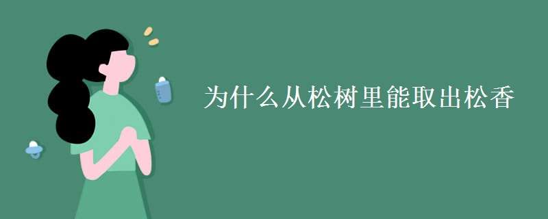 为什么从松树里能取出松香（为什么松树会流出松脂解答20字）