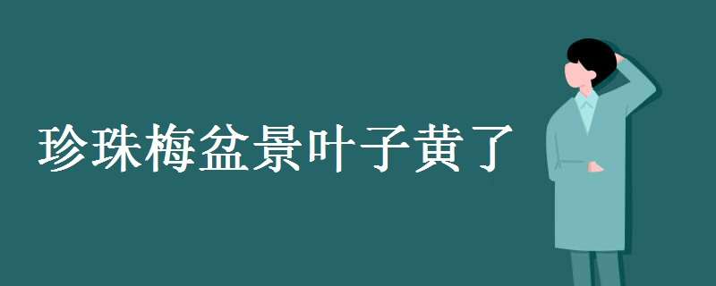 珍珠梅盆景叶子黄了怎么办 珍珠梅盆景叶子黄了掉落了该怎么办