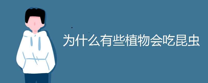 为什么有些植物会吃昆虫（为什么有些植物会吃昆虫打一生肖）