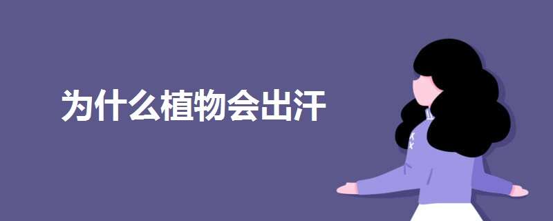 为什么植物会出汗（为什么植物会出汗?论文）