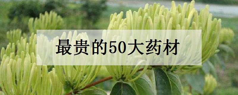 最贵的50大药材 最贵的50大药材哪些药材比黄金还贵