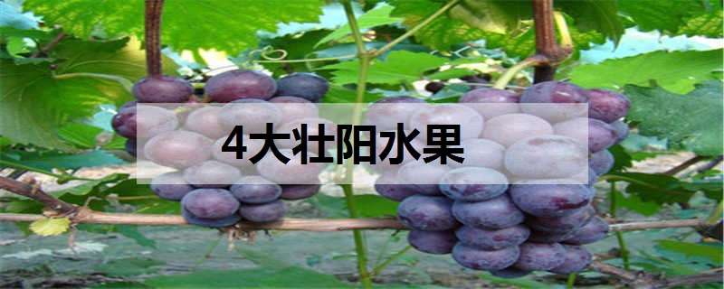 4大壮阳水果（4大壮阳水果凤梨）