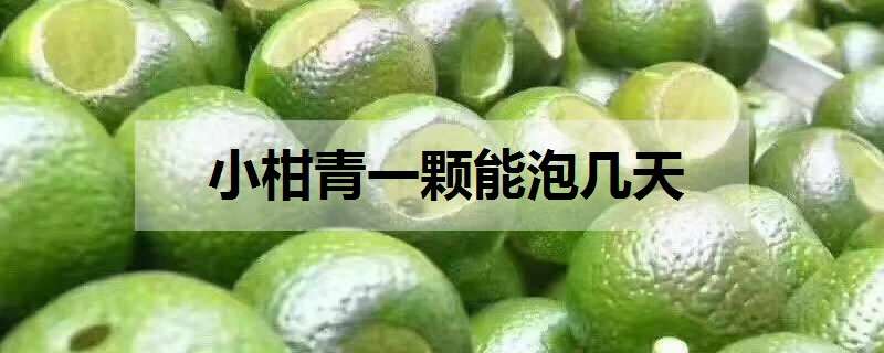 小柑青一颗能泡几天