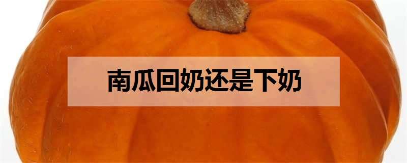 南瓜回奶还是下奶