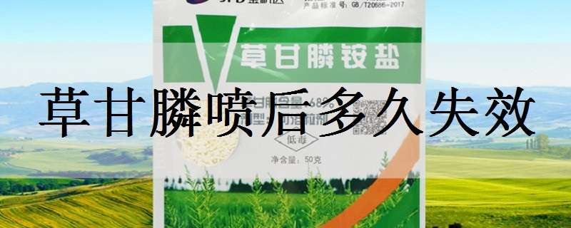 草甘膦喷后多久失效 草甘膦喷后多久见效