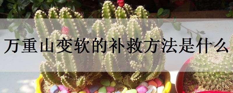 万重山变软的补救方法是什么 万重山变软是什么原因