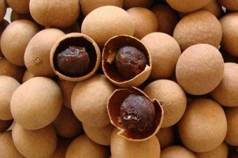 桂圆4a大还是6a大 等级如何划分 桂圆4a大还是6a大 等级如何划分