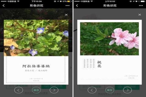 什么软件可以识别植物 什么软件可以识别植物名称