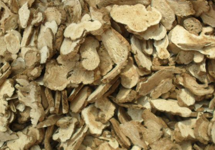 白术根部病害的种类 防治方法有哪些