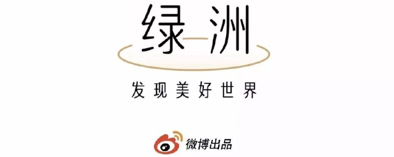 微博绿洲是什么 微博绿洲是什么软件