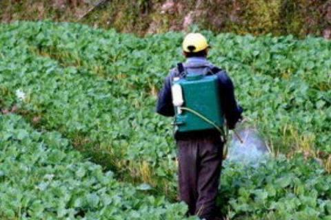 噻菌铜杀菌剂治什么病