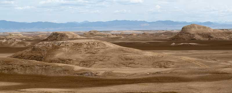 土地盐碱化主要分布地区（我国盐碱土分布典型区域）