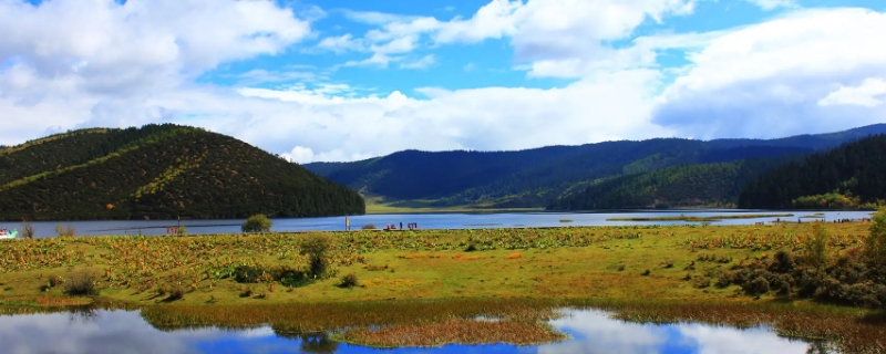 张杰谢娜结婚的地方叫什么