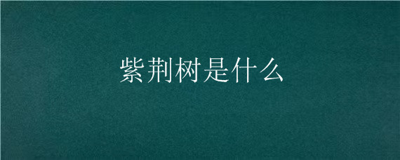 紫荆树是什么 紫荆树是什么生肖