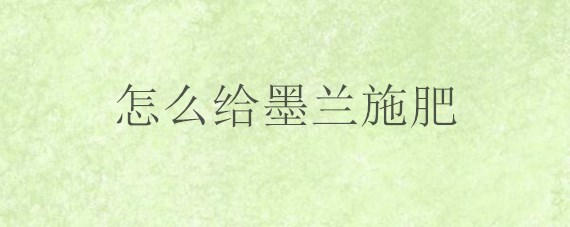 怎么给墨兰施肥 怎么给墨兰施肥最好