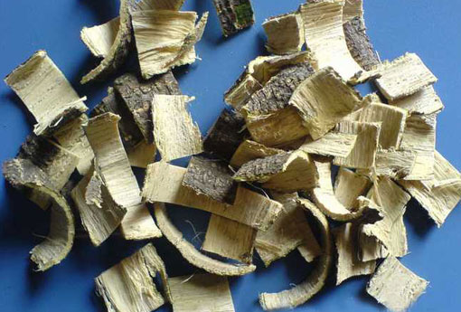 合欢皮 合欢皮的功效与作用及禁忌