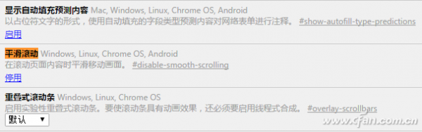 优化chrome浏览器五个技巧 chrome蚂蚁优化版