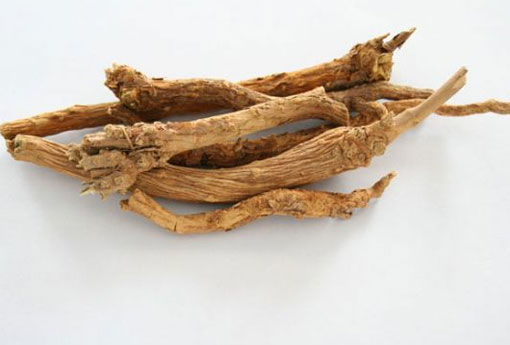 黄苓 黄芩的作用和功效