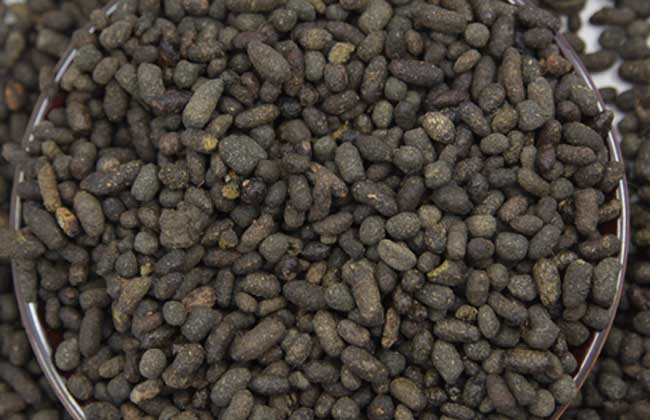 五灵脂人参二者能一起用吗 五灵脂和人参可以一起用吗