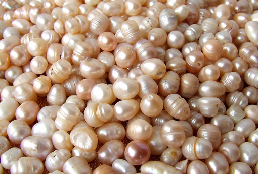 珍珠（珍珠疹）