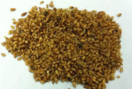 柏子仁（柏子仁的功效与作用）