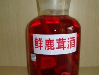 人参鹿茸酒的功效和作用是什么呢（人参鹿茸药酒功效）