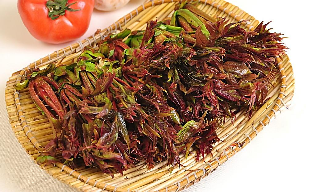 香椿的营养价值和食用禁忌（香椿的营养价值与禁忌）