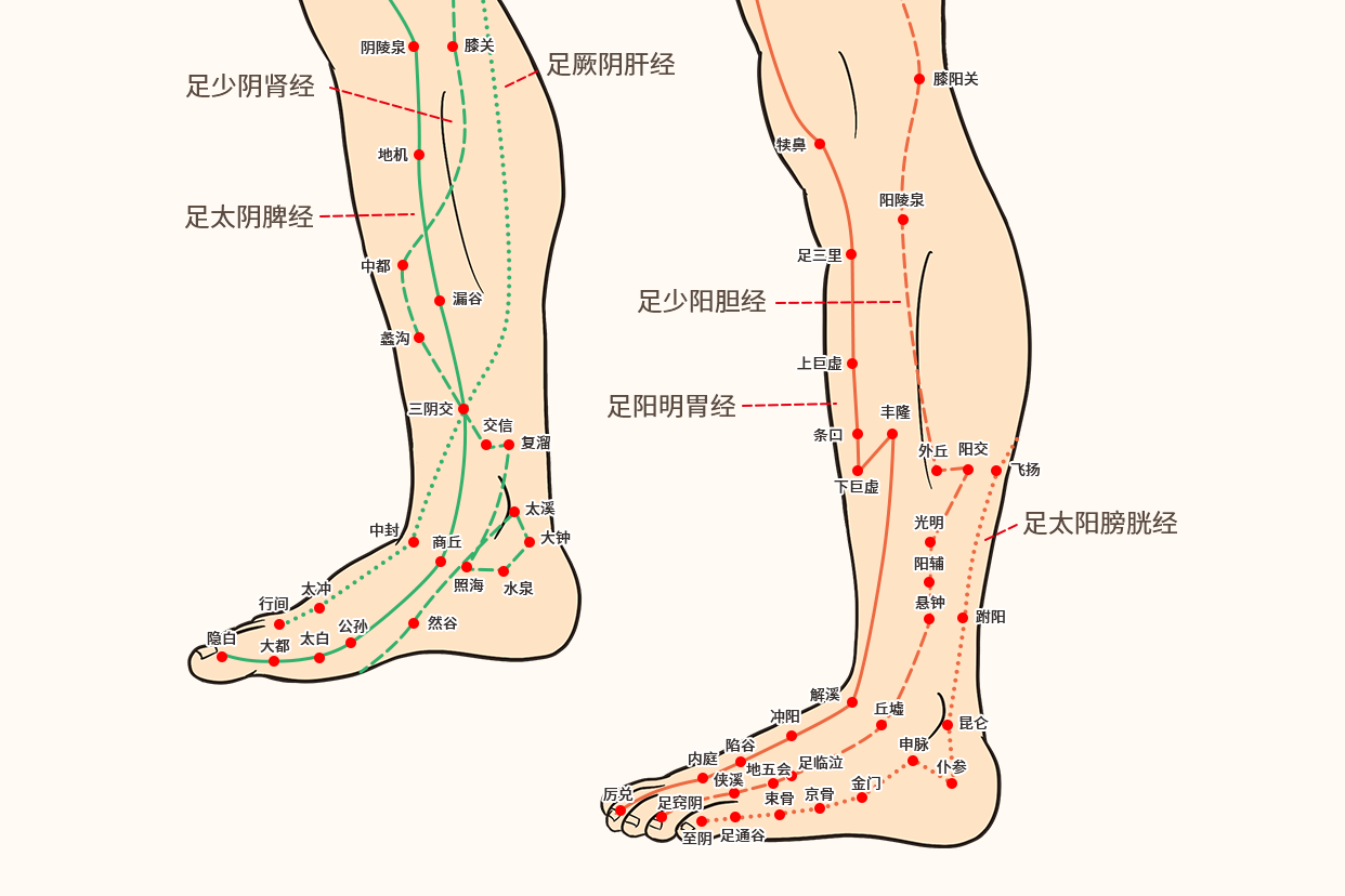 足部经络图解（足部经络图解大全 十二经脉）