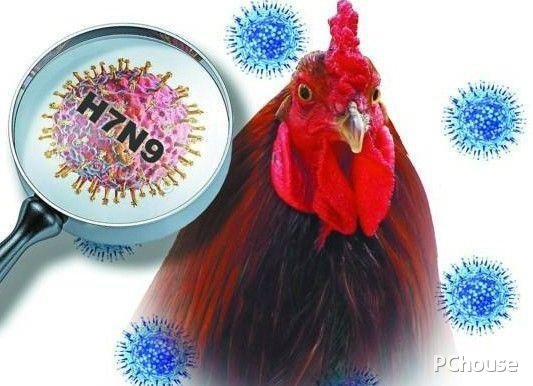 H7N9诊疗方案（H7N9诊疗方案）