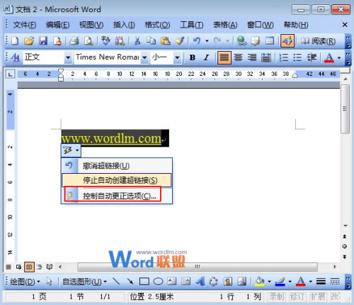 教你如何清除Word2003中的超链接