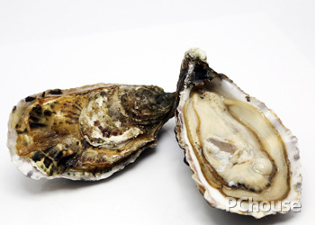 生蚝的营养价值（生蚝的营养价值及功效）