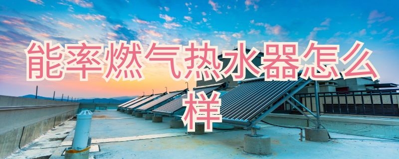 能率燃气热水器怎么样