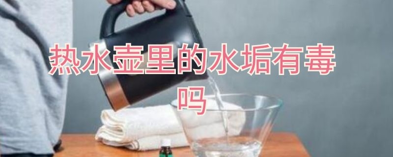 热水壶里的水垢有毒吗（热水壶里的水垢危害）