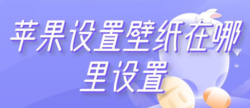 苹果设置壁纸在哪里设置（iphone桌面壁纸设置在哪里设置）