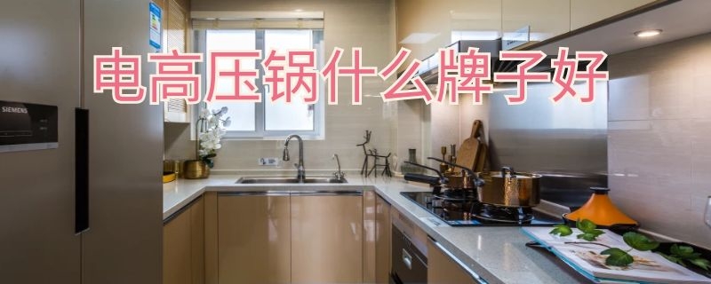 电高压锅什么牌子好 高压锅哪个品牌好