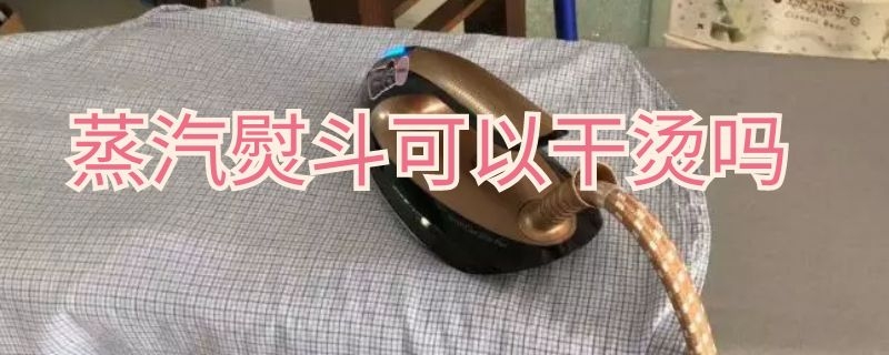 蒸汽熨斗可以干烫吗 蒸汽熨斗可以烫干衣服吗
