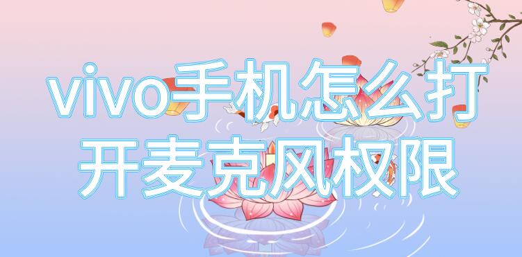 vivo手机怎么打开麦克风权限（vivo手机怎么打开麦克风权限如果没有应用怎么办）