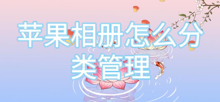 苹果相册怎么分类管理 苹果相册怎么分类管理删除