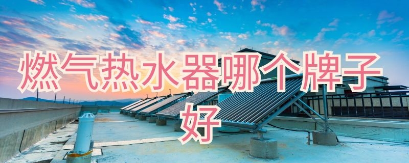 燃气热水器哪个牌子好（能率和林内燃气热水器哪个牌子好）