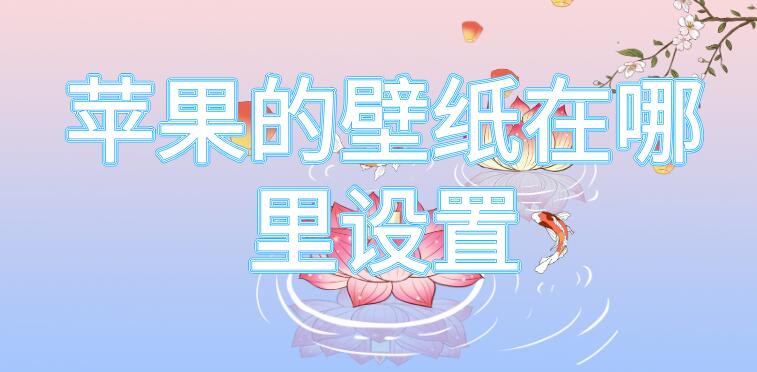 苹果的壁纸在哪里设置（苹果的壁纸在哪里设置锁屏签名）