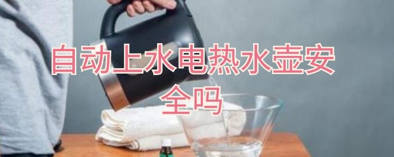 自动上水电热水壶安全吗（自动上水电热烧水壶）