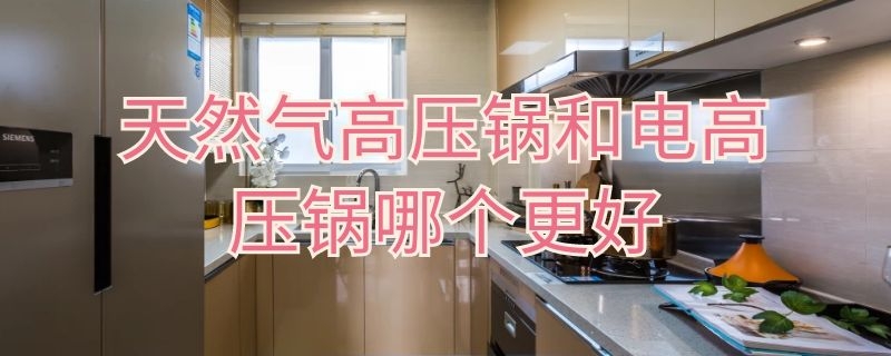 天然气高压锅和电高压锅哪个更好（天然气高压锅和电高压锅哪个更好点）