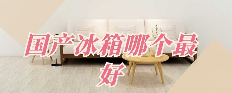 国产冰箱哪个最好（国产冰箱那个最好）