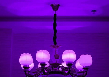 麦极客智能灯使用说明（麦极客智能灯使用说明书）