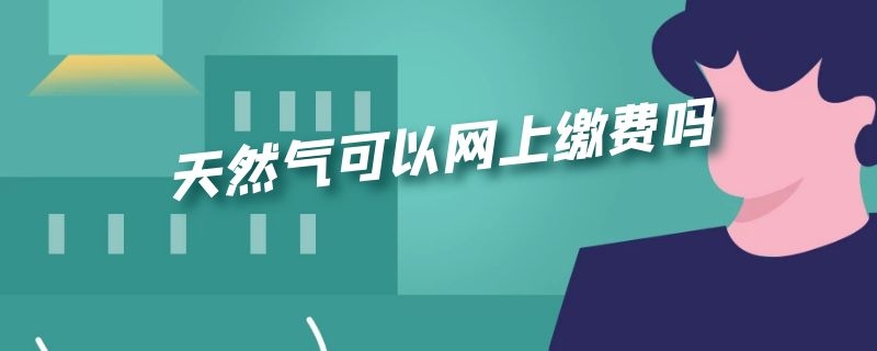 天然气可以网上缴费吗（插卡的天然气可以网上缴费吗）