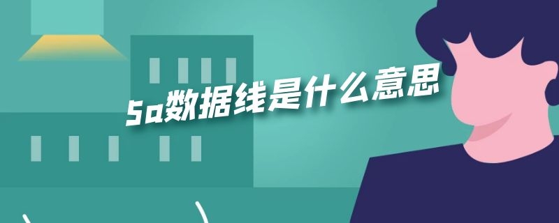 5a数据线是什么意思（5a数据线是什么意思啊）