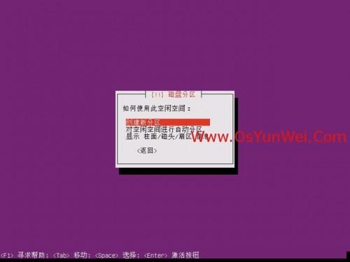 Ubuntu Server 13.10 安装配置图解教程