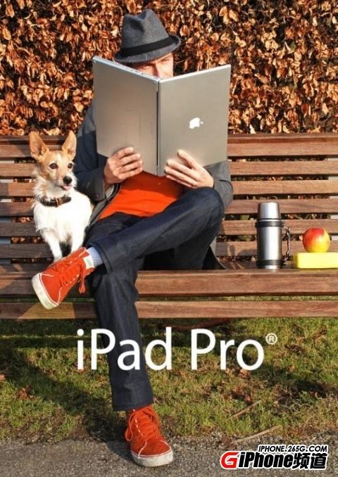 12.9寸iPad 12.9寸ipad pro多重