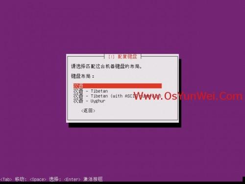 Ubuntu Server 13.10 安装配置图解教程